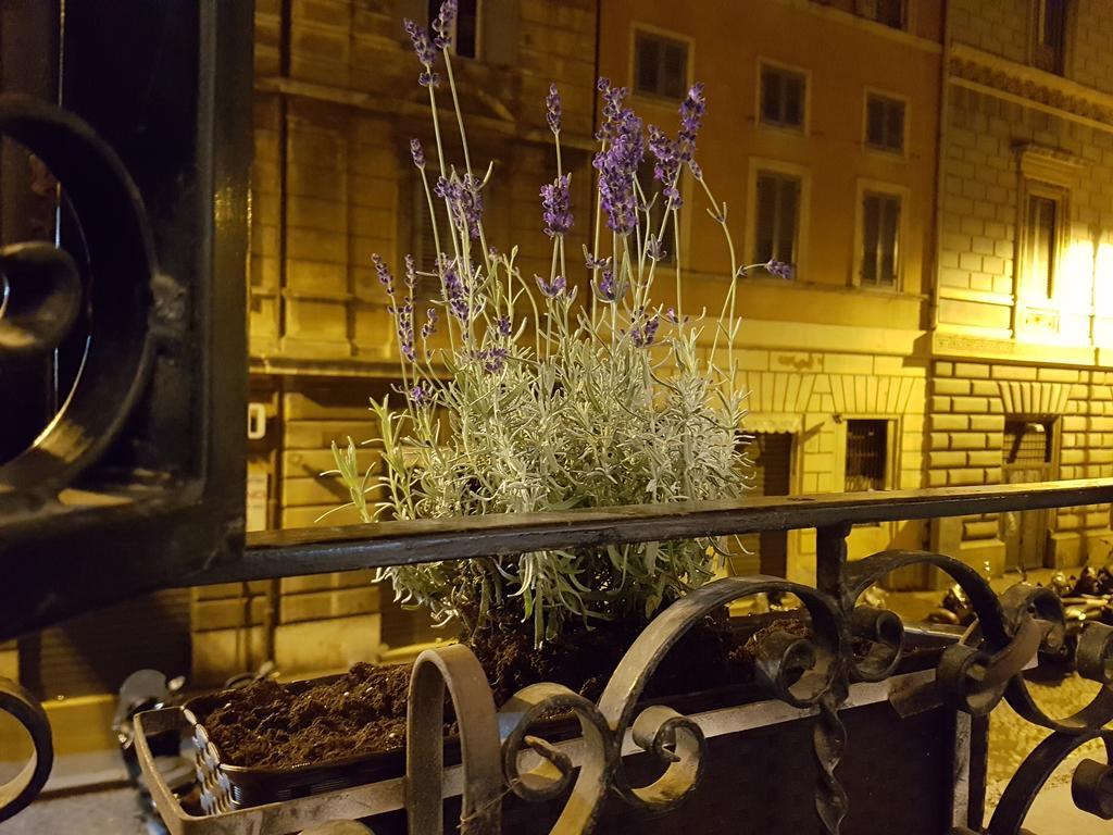 Villa Loft Pantheon Rom Exterior foto